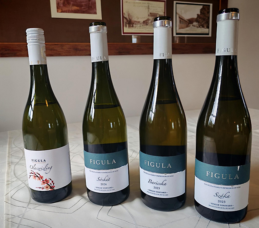 Figula Winery and Mórocz Winery